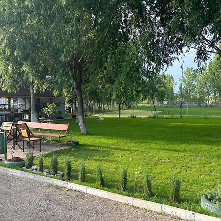 Villa Gigios Sport&Relax Bailesti Esterno foto