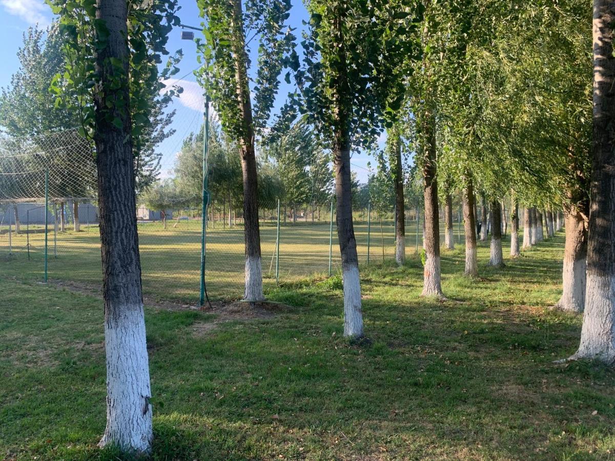 Villa Gigios Sport&Relax Bailesti Esterno foto