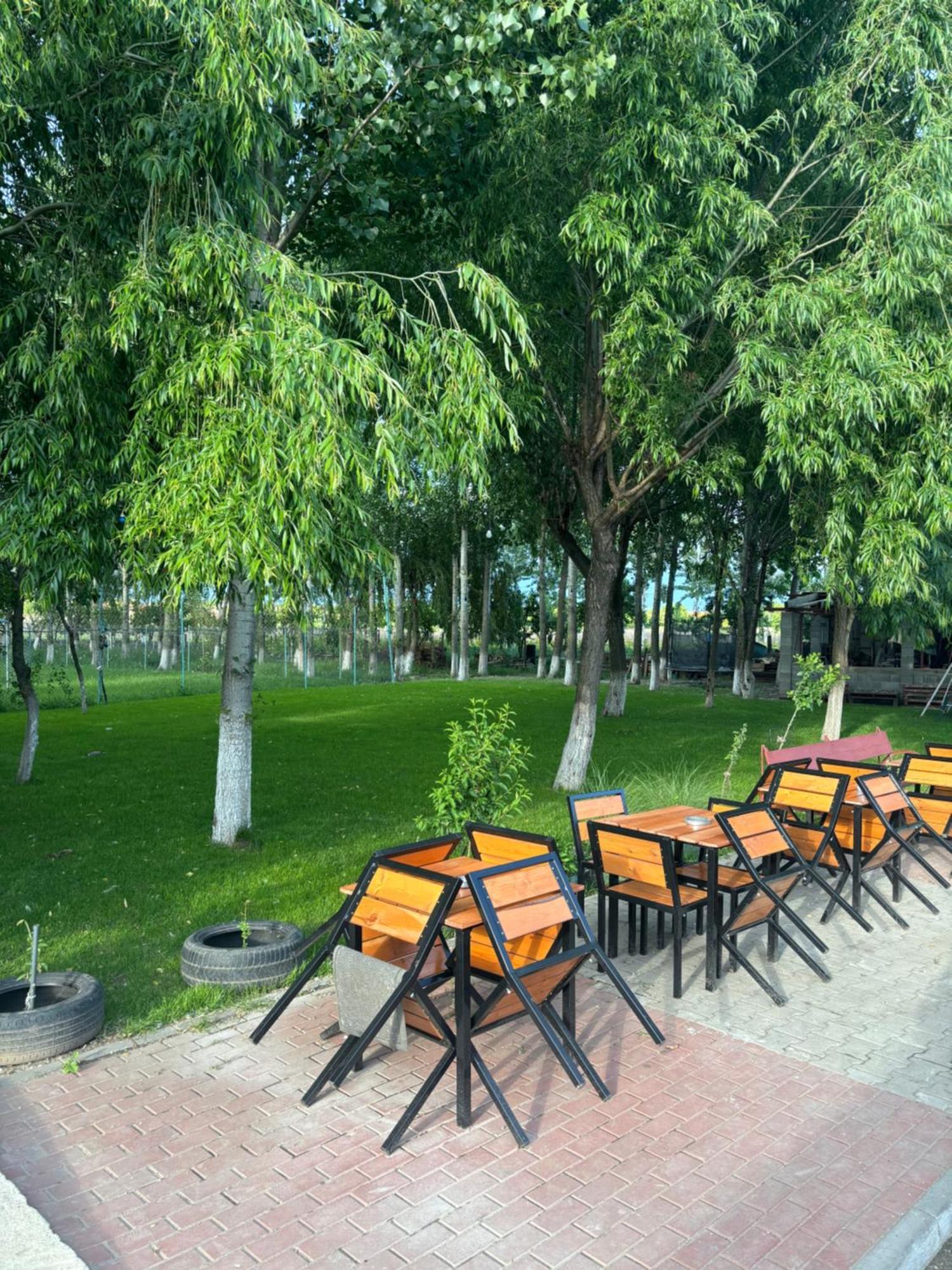Villa Gigios Sport&Relax Bailesti Esterno foto
